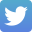 Twitter logo icon